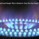 Sui Gas Duplicate Bill