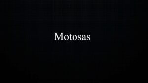Motosas