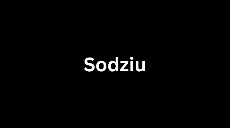 What Is Sodziu and How Can It Transform Your Workflow?