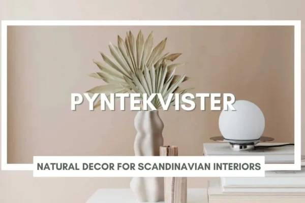 pyntekvister